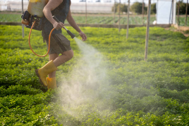 Best Exterminator Services  in Cool Valley, MO