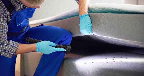 Best Emergency Pest Control  in Cool Valley, MO