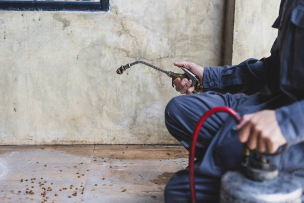Best Pest Removal Services  in Cool Valley, MO